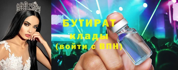 сатива Бородино