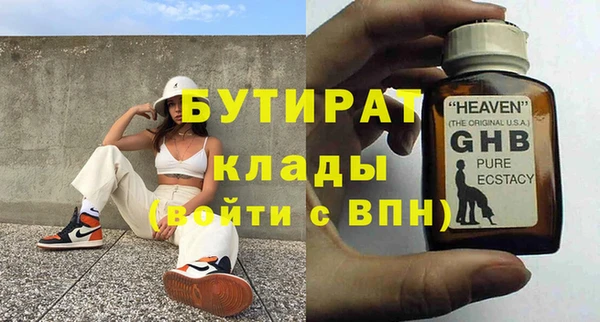сатива Бородино