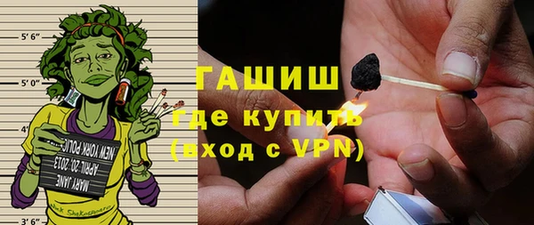 сатива Бородино