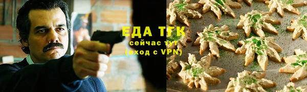 сатива Бородино